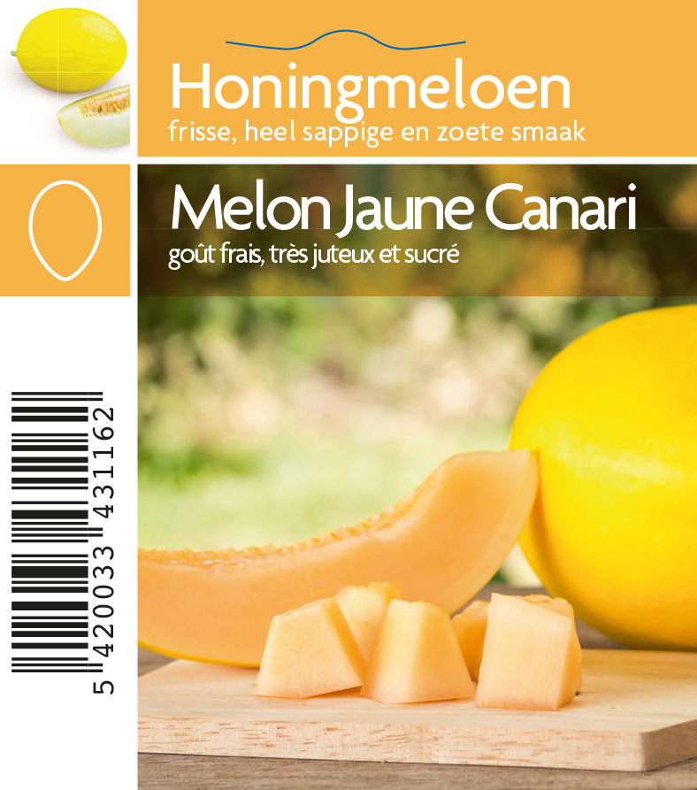 Melon jaune Canari