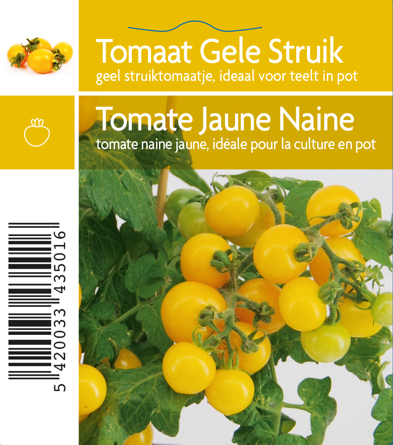 Tomate jaune naine
