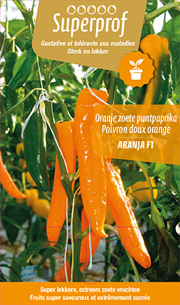 Poivron doux orange