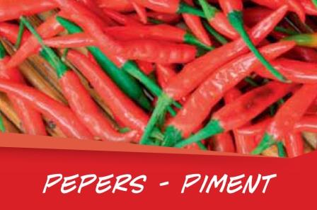 Piment barq. 6