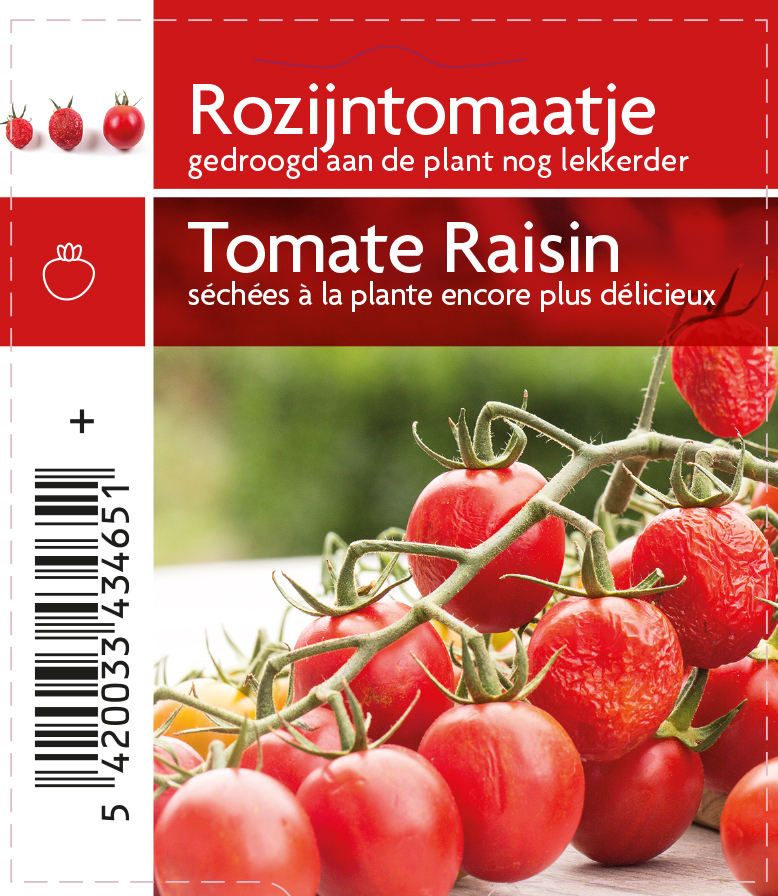 Tomate raisin