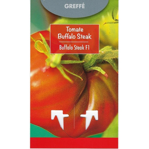 Tomate Buffalo Steak Greffée
