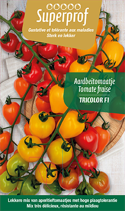 Tomate fraise Tricolor F1