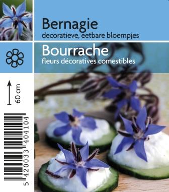 Bourrache