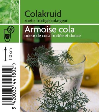 Colakruid