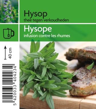 Hysope