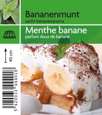 Menthe banana