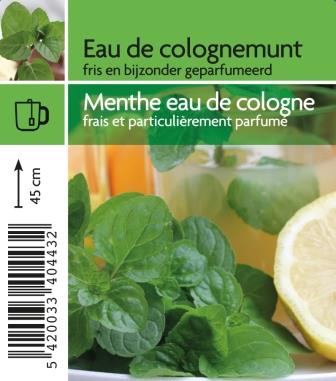 Menthe eau de cologne