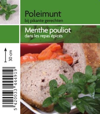 Menthe pouliot