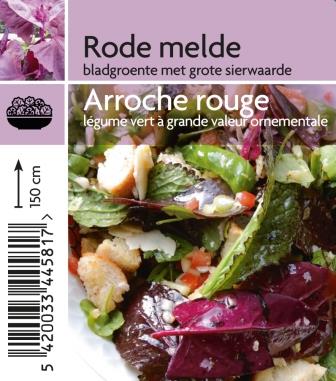 Arroche rouge
