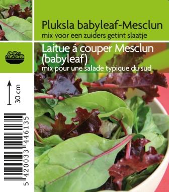 Laitue à couper Mesclun (babyleaf)