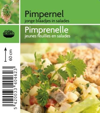 Pimprenelle