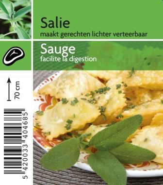 Sauge