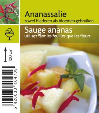 Sauge ananas