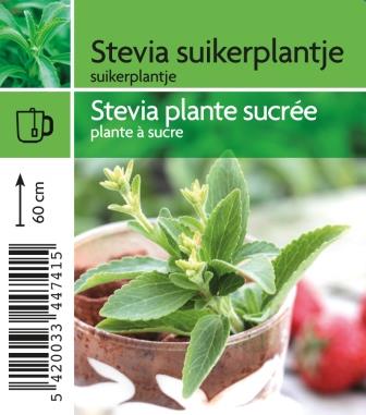 Stevia plante sucrée