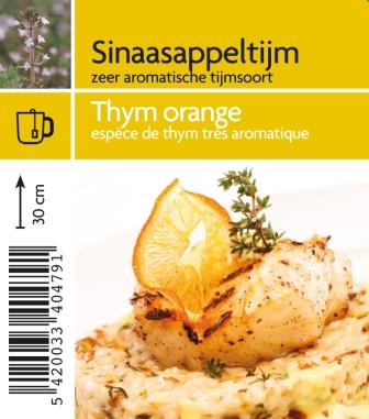 Thym orange