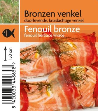 Fenouil bronze