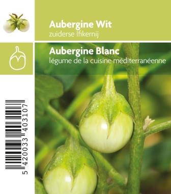 Aubergine blanc 'White egg'