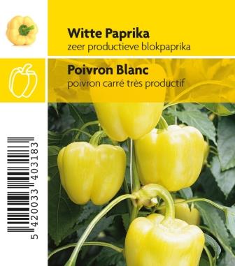 Poivron blanc Belladonna F1