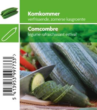 Concombre pot 10,5