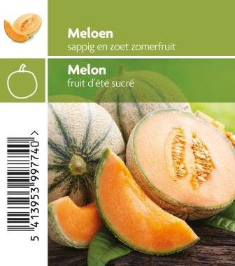 Melon pot 10,5
