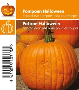 Potiron Halloween pot 10,5