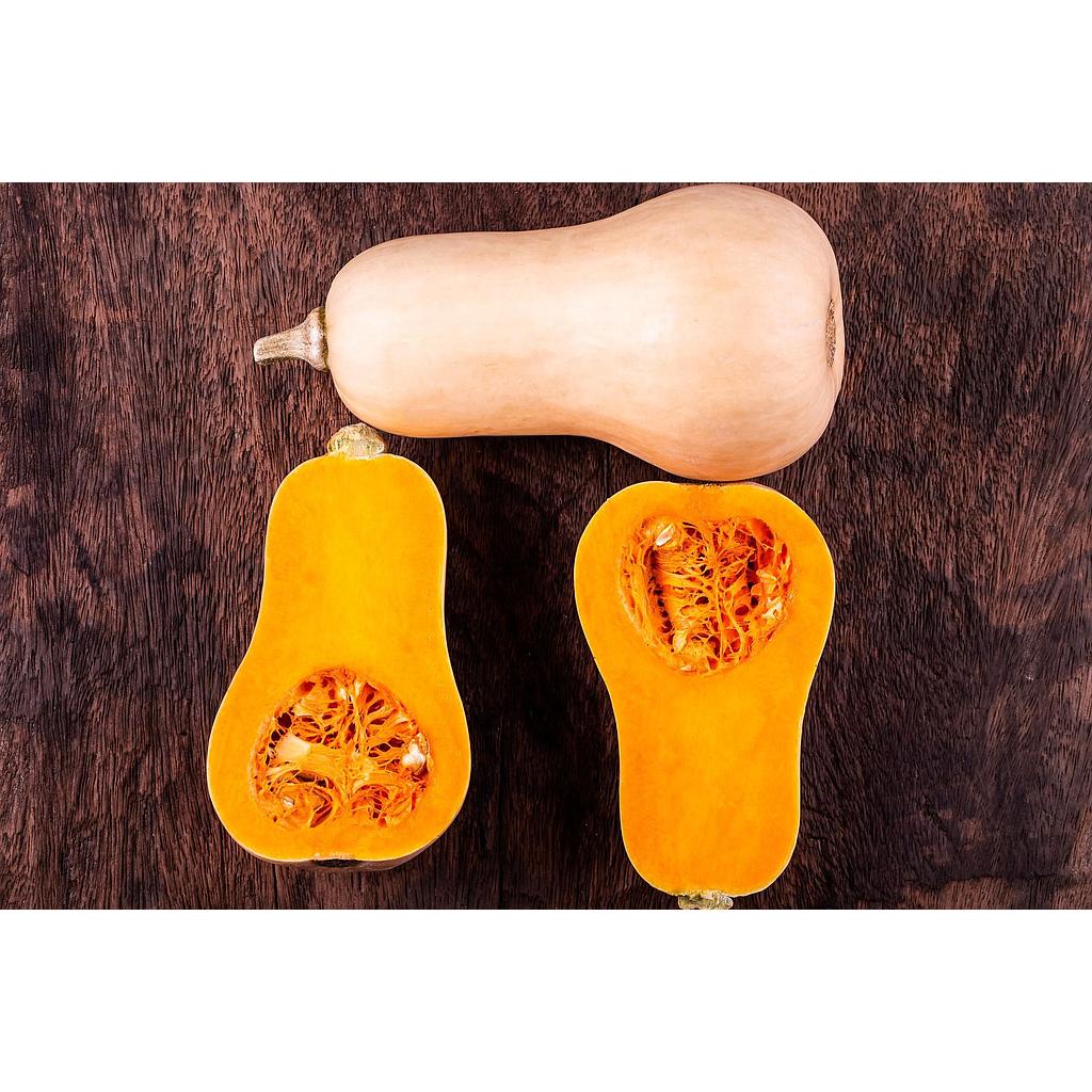Potiron butternut