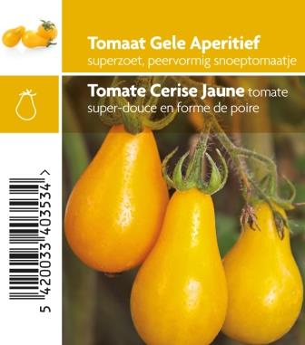 Tomate cerise poire jaune pot 10,5