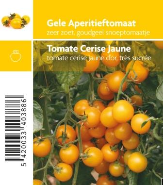 Tomate jaune cerise Star Gold F1