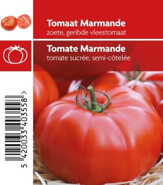 TomateMarmande pot 10,5