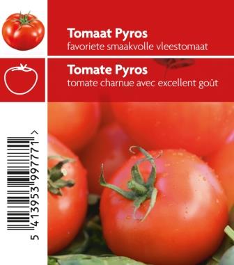 Tomate Pyros  pot 10,5