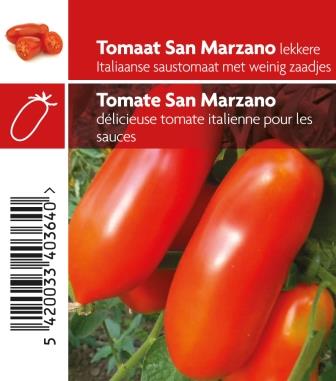 Tomate San Marzano pot 10,5