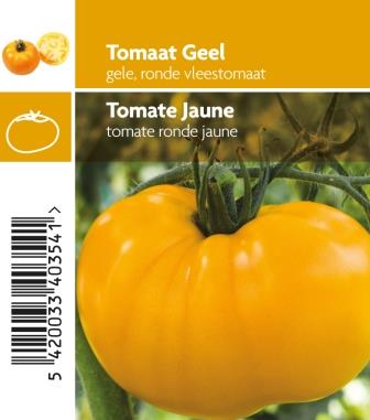 Tomate jaune pot 10,5