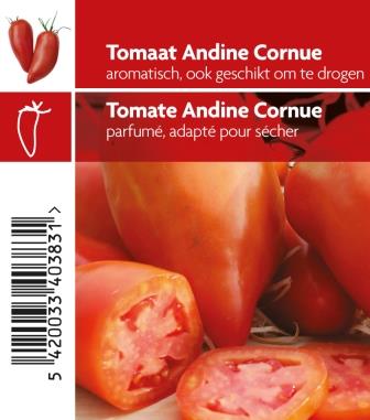 Tomate Andine Cornue