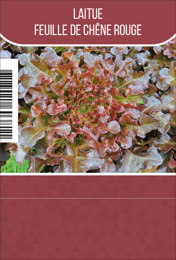 Laitue feuilles chéne tray (8x6)