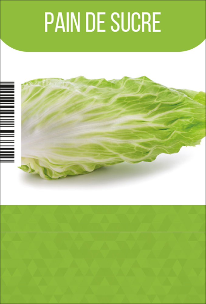 Pain de sucre tray (8x6)
