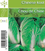 Chou de Chine Pe-Tsa√Ø