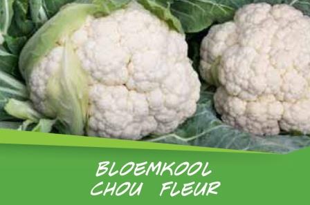 Chou  fleur barq. 15