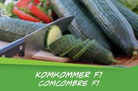 Comcombre barq. 6