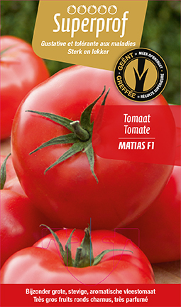 Tomate greffée MATIAS F1