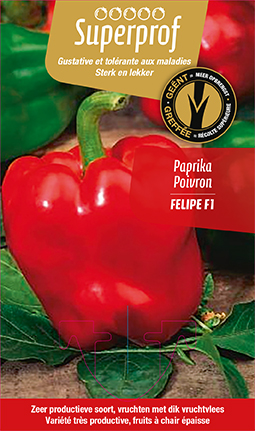 Poivron greffée