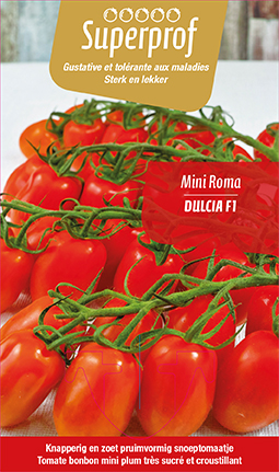 Tomate Mini-Roma