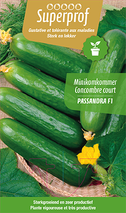 Mini-concombre