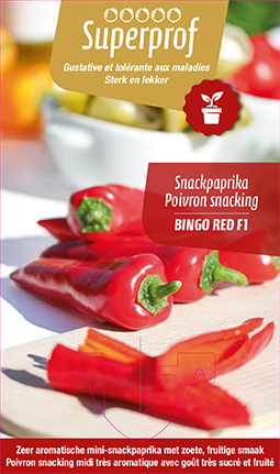 Poivron snack mini rouge