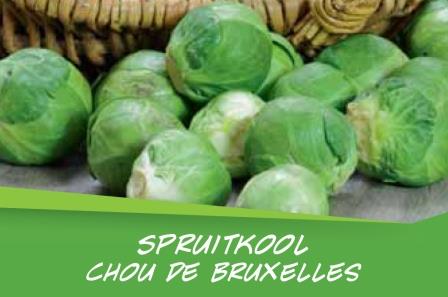 Chou de Bruxelles barq. 15