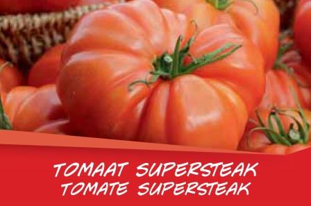 Tomate Supersteack par barq. 6