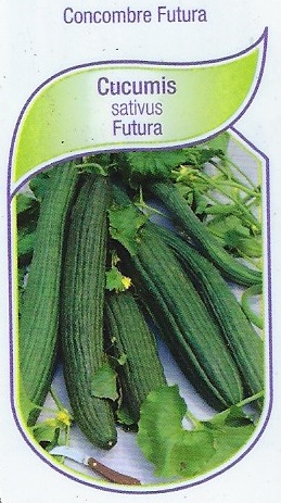 Concombre pot 9X8X8