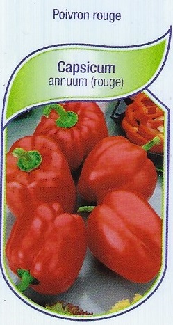 Poivron rouge pot 9X8X8