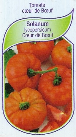 Tomate Coeur de Boeuf pot 9X8X8