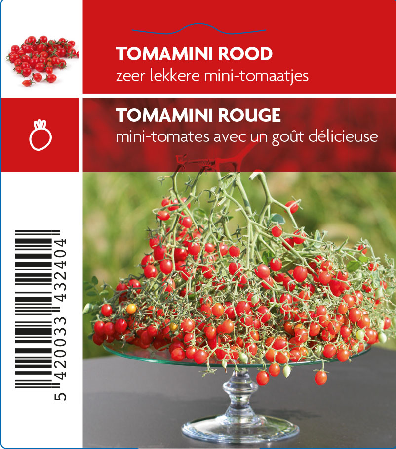 TomaMINI rouge